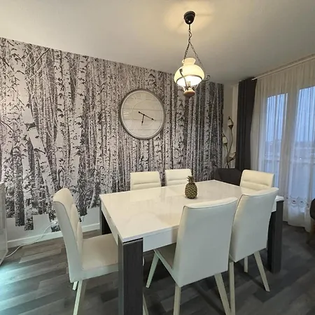 Apartamento Spacieux Au Centre De Avec Balcon Et Internet - Fr-1-489-555