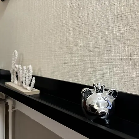 Apartamento Spacieux Au Centre De Avec Balcon Et Internet - Fr-1-489-555 *